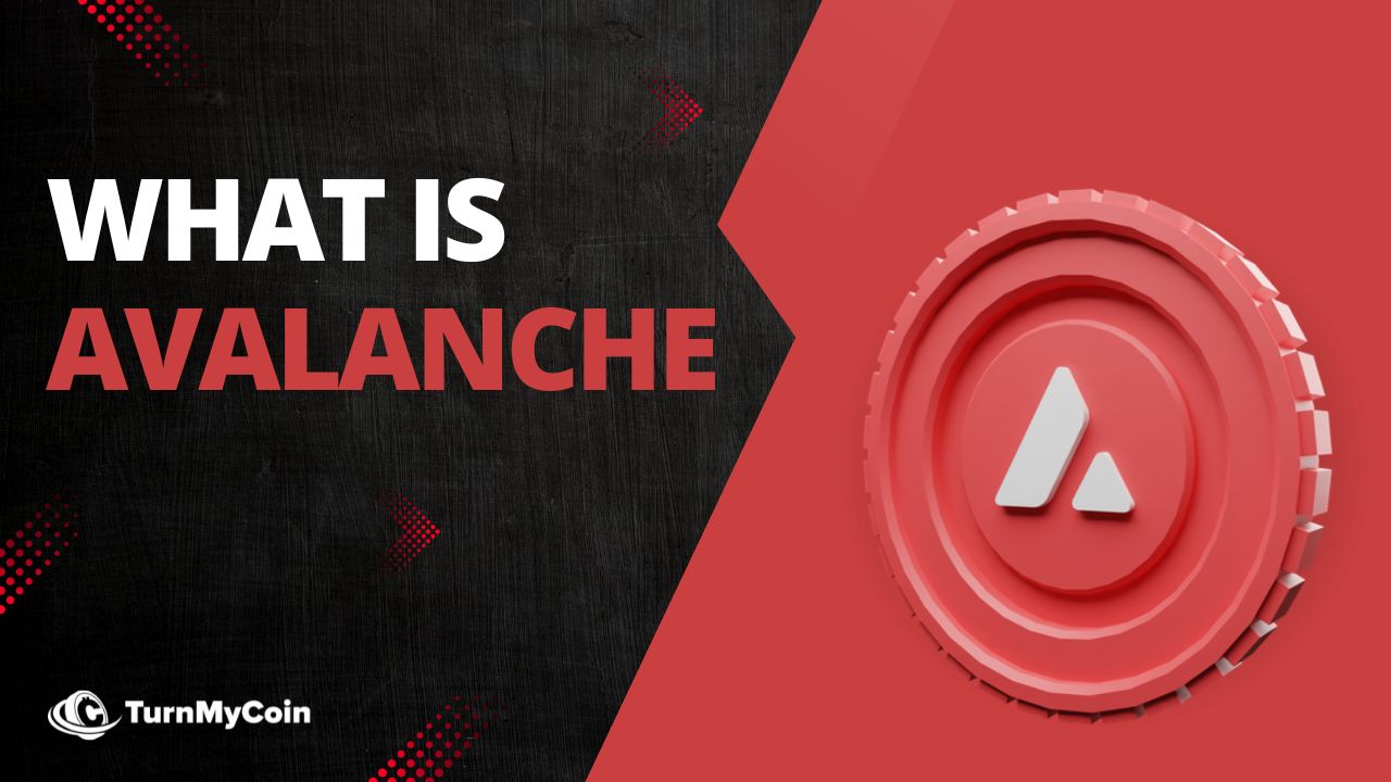 What Is Avalanche Blockchain Astonishing Things You Should Know