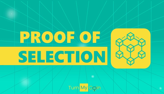 Different Consensus Mechanisms-Proof of selection