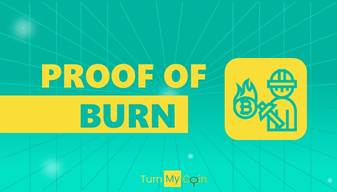 Different proofs of Cryptocurrencies-Proof of Burn