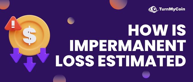 Impermanent Loss Estimation