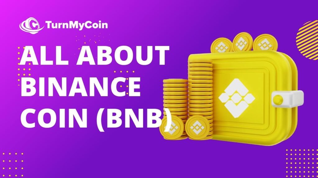Is BNB a good Investment - Cover