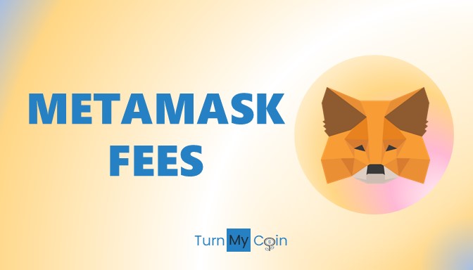 Metamask Wallet-Fees