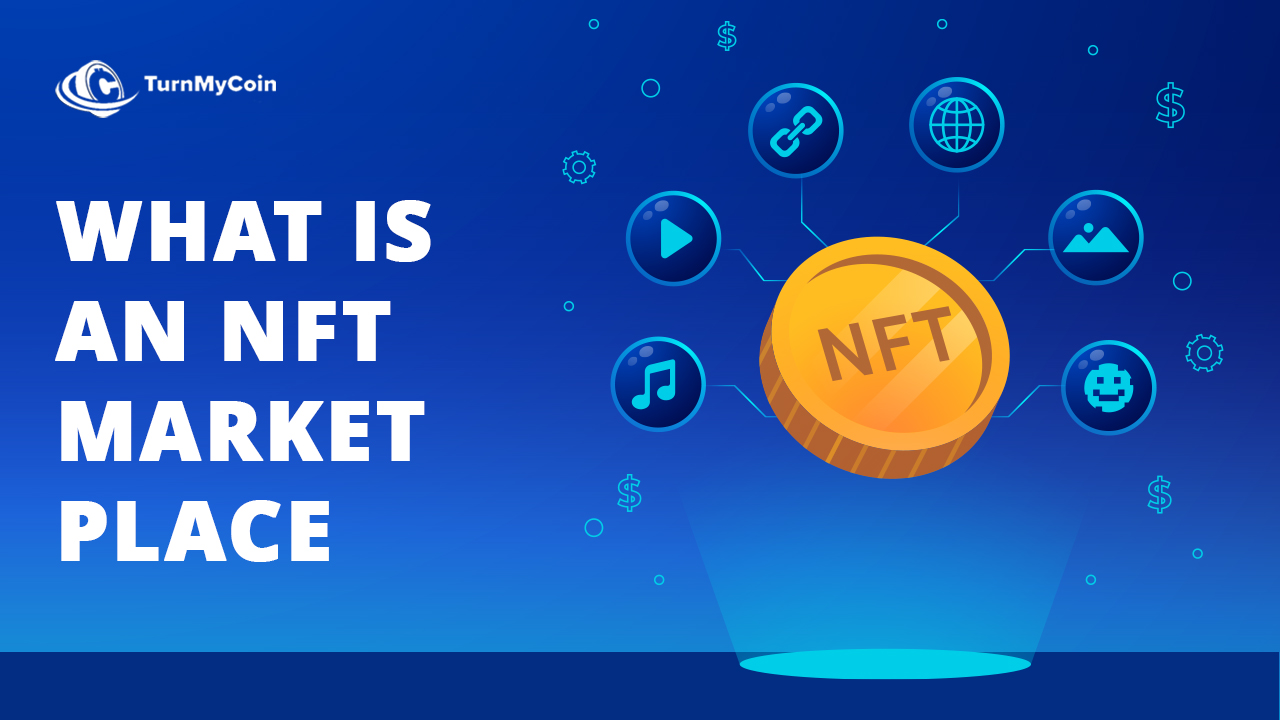 What Are Top 10 Best NFT Marketplaces? - TurnMyCoin: Crypto Assets ...