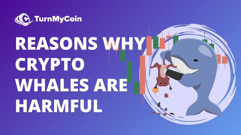 Reasons Why Crypto Whales are Harmful - Cover