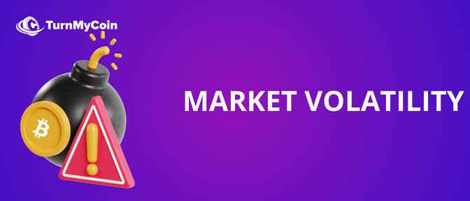 Risk of Cryptocurrency - Market Volatility