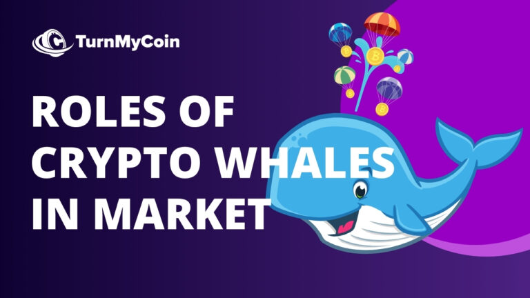Role of Cryptocurrency Whales - Cover