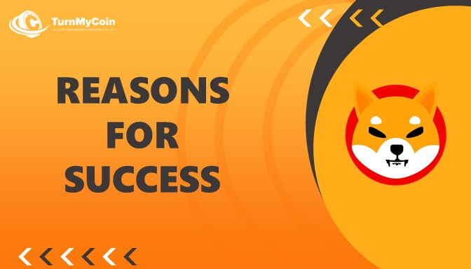 Shiba Inu Analysis-Reasons for Success