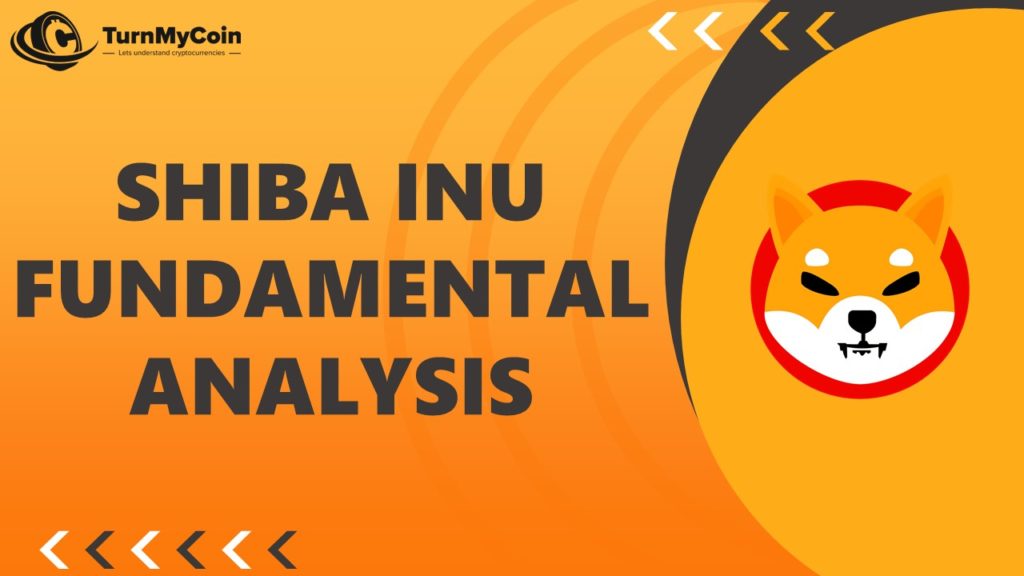 Shiba Inu Analysis Cover