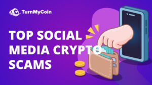 Top Social Media Crypto Scams - Cover
