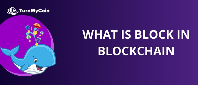 What are Blocks on a Blockchain