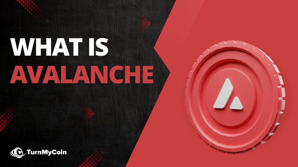 What is Avalanche Blockchain - Cover