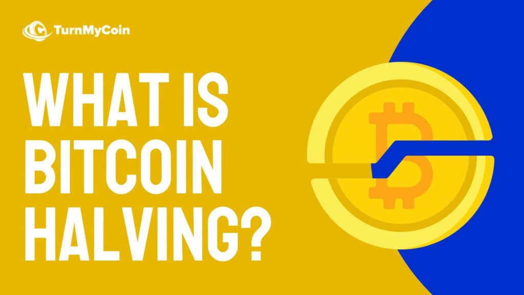 What is Bitcoin Halving - Cover