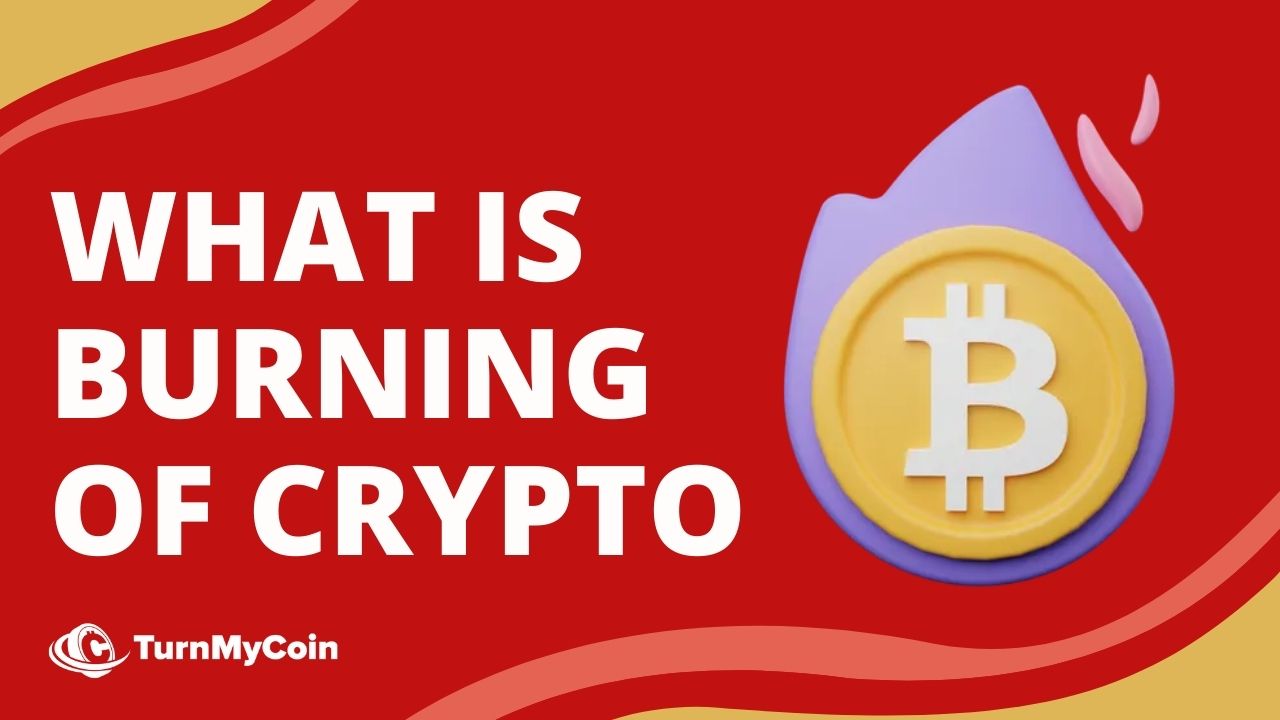 What is Burning Cryptos - Cover