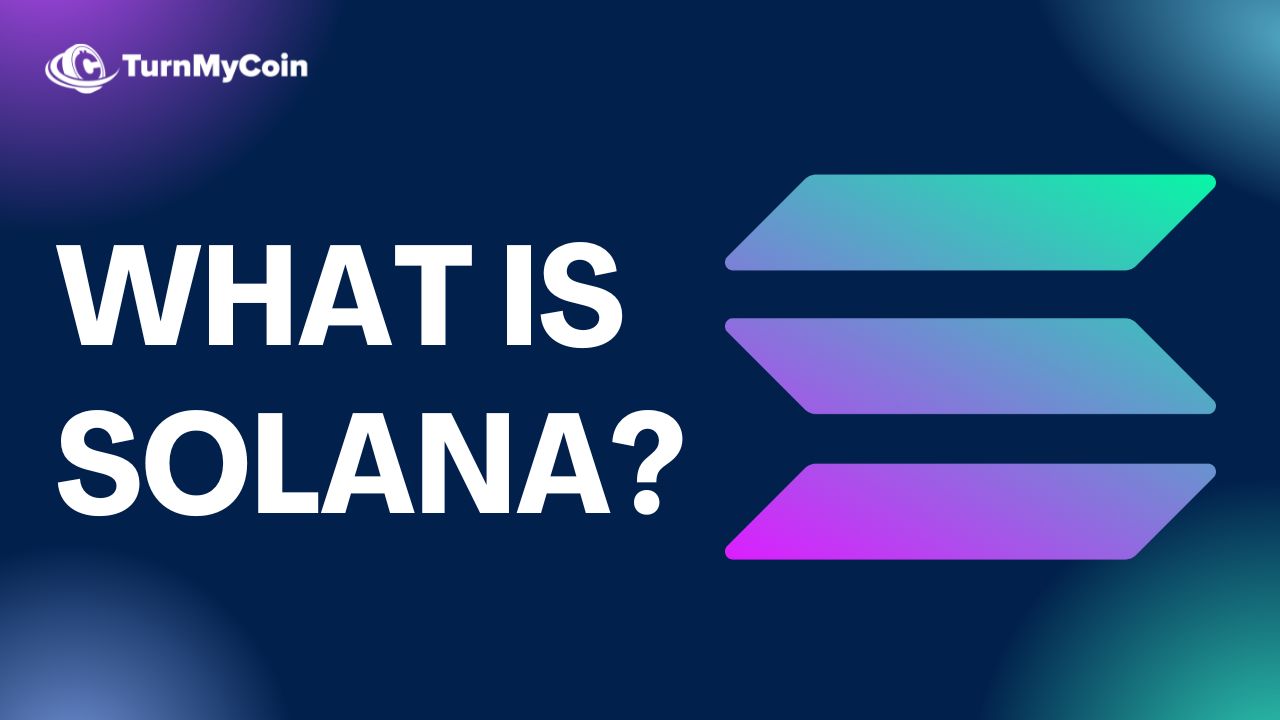 What Is Solana Blockchain A Detailed Guide Turnmycoin How To Buy Bitcoin In 2024 Best 4181