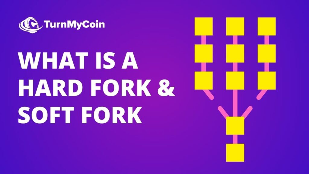 hard fork soft fork